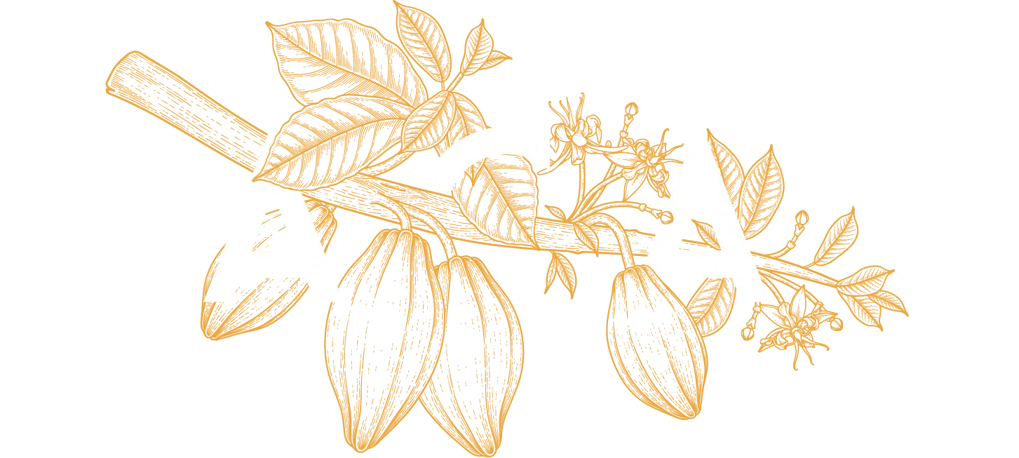 Logotipo de Restaurante Cacao